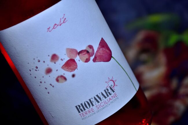 rose riofavara