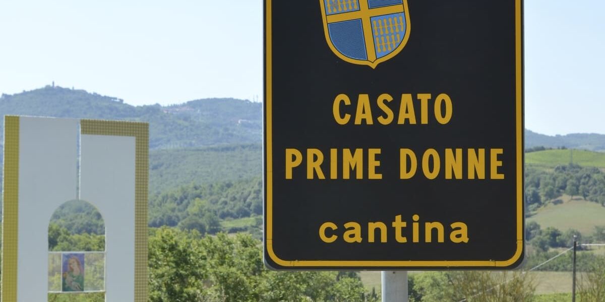 Donatella Cinelli Colombini