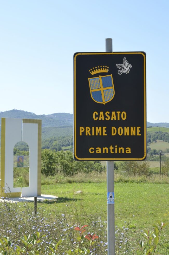 Donatella Cinelli Colombini